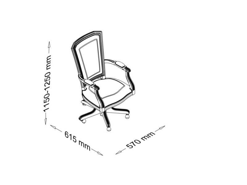 Corinne 1 - Straight Back Classic Executive Chair size img